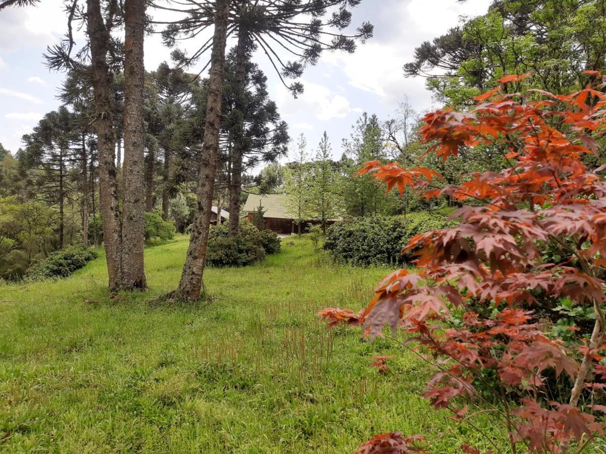 Casarao Da Cascata Villa Gramado Ngoại thất bức ảnh