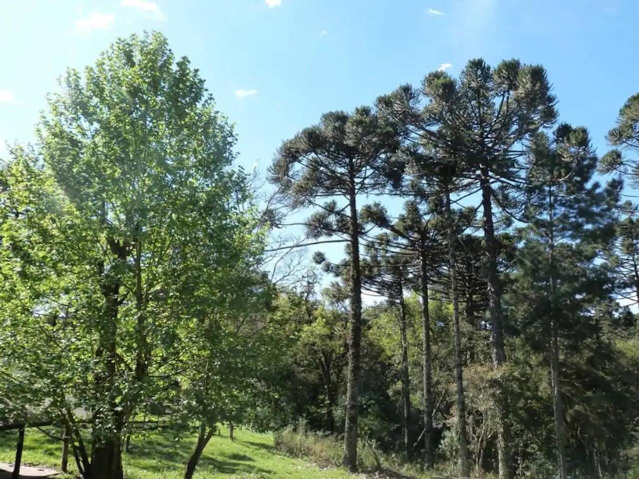Casarao Da Cascata Villa Gramado Ngoại thất bức ảnh
